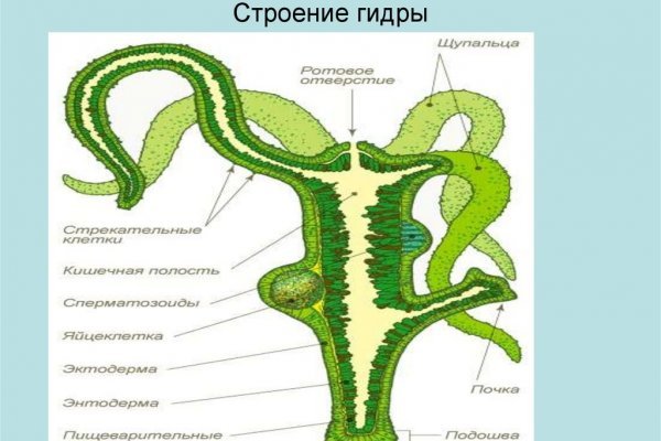 Как регистрироваться и заходить на кракен даркнет