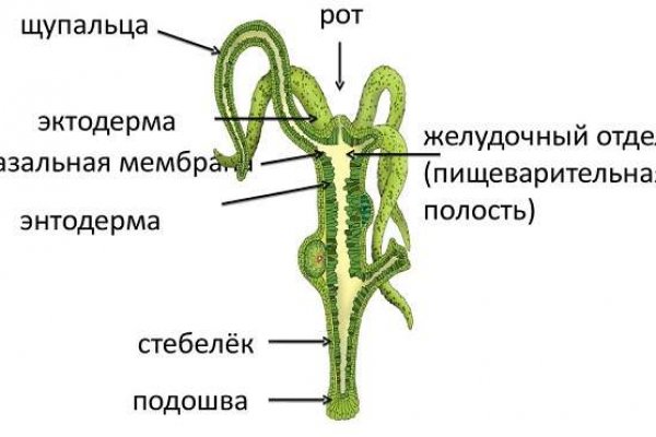 Актуальные ссылки на кракен тор